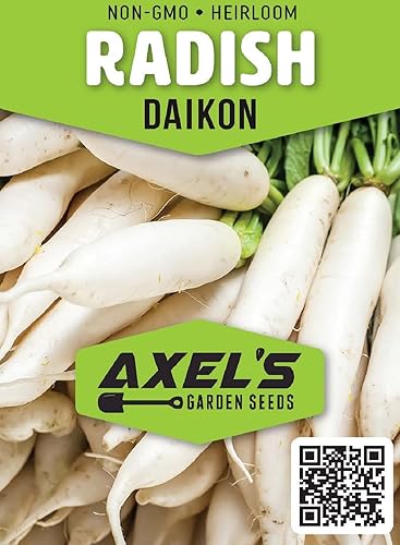 Miniatura 2 de Semillas de rábano Daikon japonesas para plantar, 100 semillas de reliquia sin OMG, instrucciones completas de plantación para plantar y cultivar un