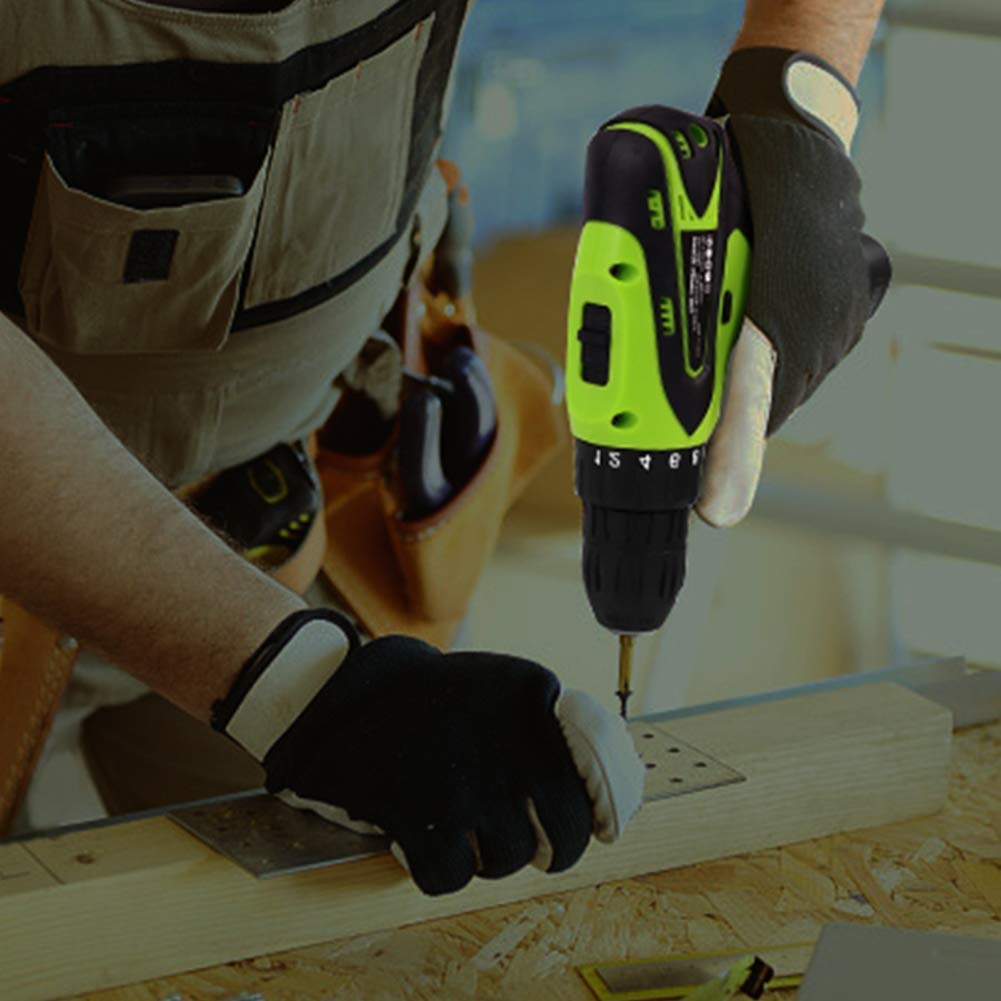 Trapano Avvitatore Professionale a Batteria 12V, Coppia Massima 32 NM, Utensili per la Lavorazione del Legno Fai da Te a 2 velocità