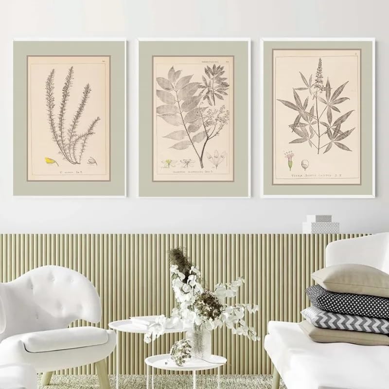 Affiche botanique vintage pour transformer un mur vide en salon moderne chic