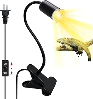 Spectrum Sunbathe Chameleon Aquarium Amphibians