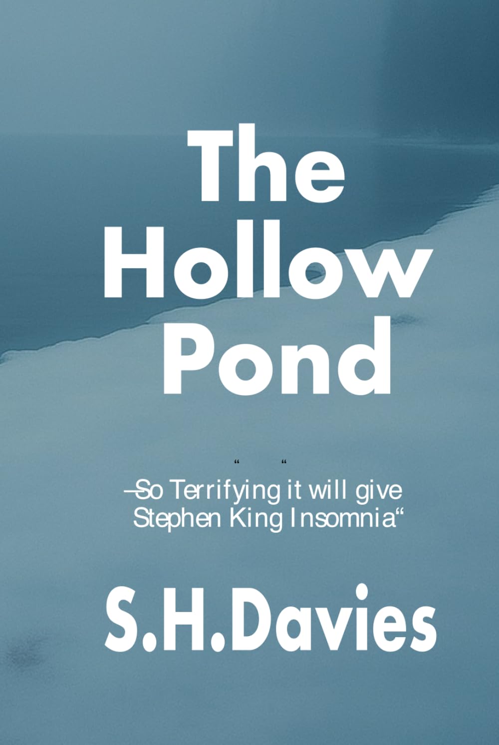 The Hollow Pond: he Hollow Pond: A Nordic Crime Noir Thriller