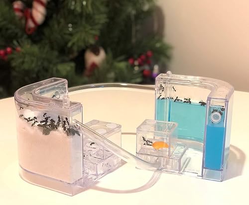 Miniatura 6 de NAVAdeal Granja de hormigas de arena con tubos de conexión, kit educativo y de aprendizaje de hábitat para niños y adultos, permite el estudio del