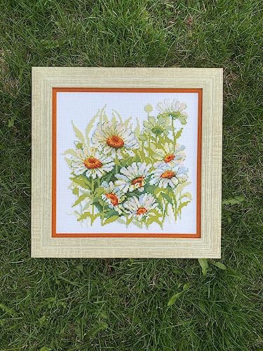 Kit broderie point de croix Riolis 1765 coton multicolore 30 cm loisirs créatifs - 6