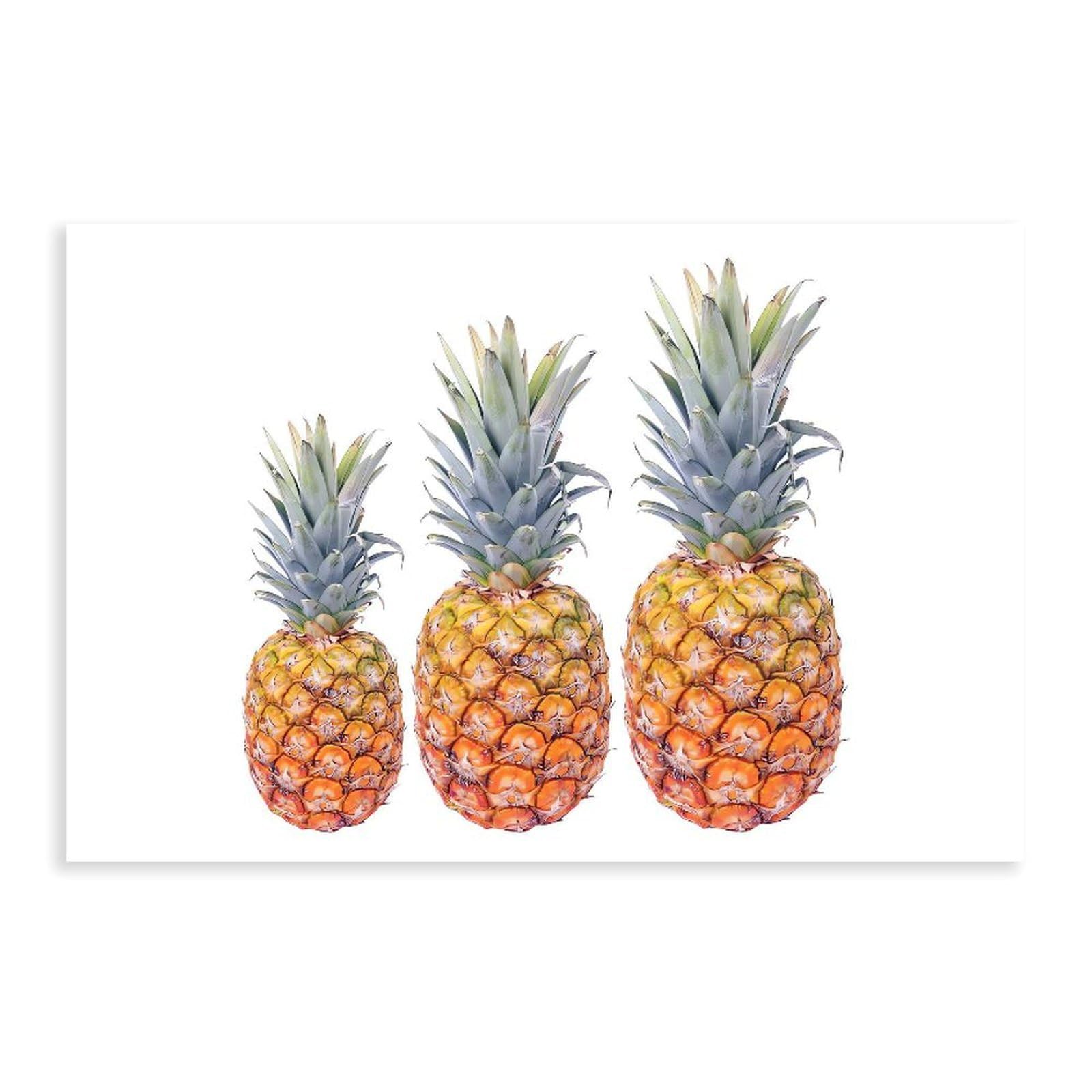 Qnvjqkdsi Unframe Three Pineapple Art Canvas Poster Bedroom Decor Landscape Office Room Decor Gift 16" L X 24" W