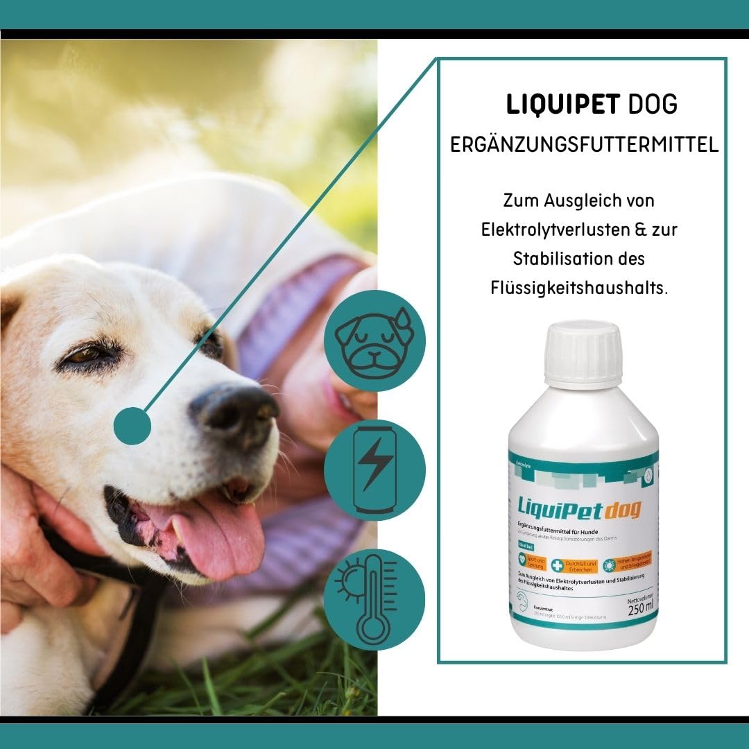 LiquiPet Dog Concentrato elettrolitico: può aiutare a compensare le perdite di elettroliti e stabilizzare l'equilibrio dei liquidi, per cani anziani e ad alte temperature, 250 ml