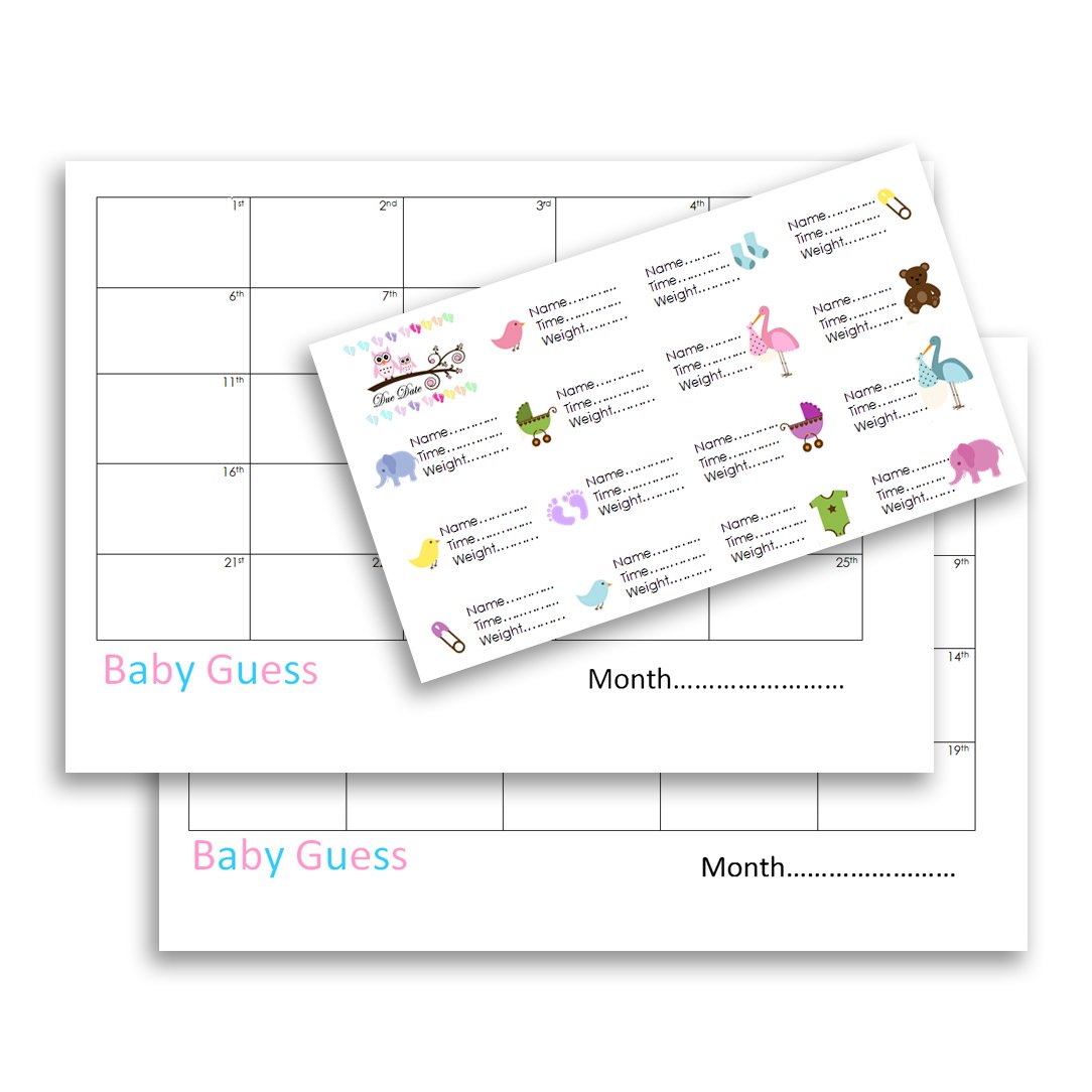 Baby Shower Game IDEA Guess Due Date Weight Name PREDICTIONS Sticker Quiz Calendar
