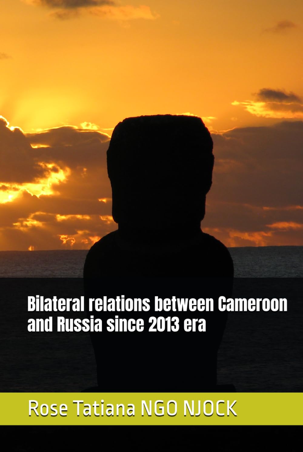 Bilateral relations between Cameroon and Russia since 2013 era