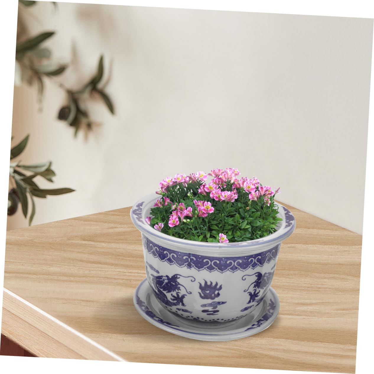 Fioriera Ceramica Decorativa Per Piante Grasse Vaso Ceramica Per Piccole Succulente Con Vassoio Design Nordic Per Casa e Ufficio