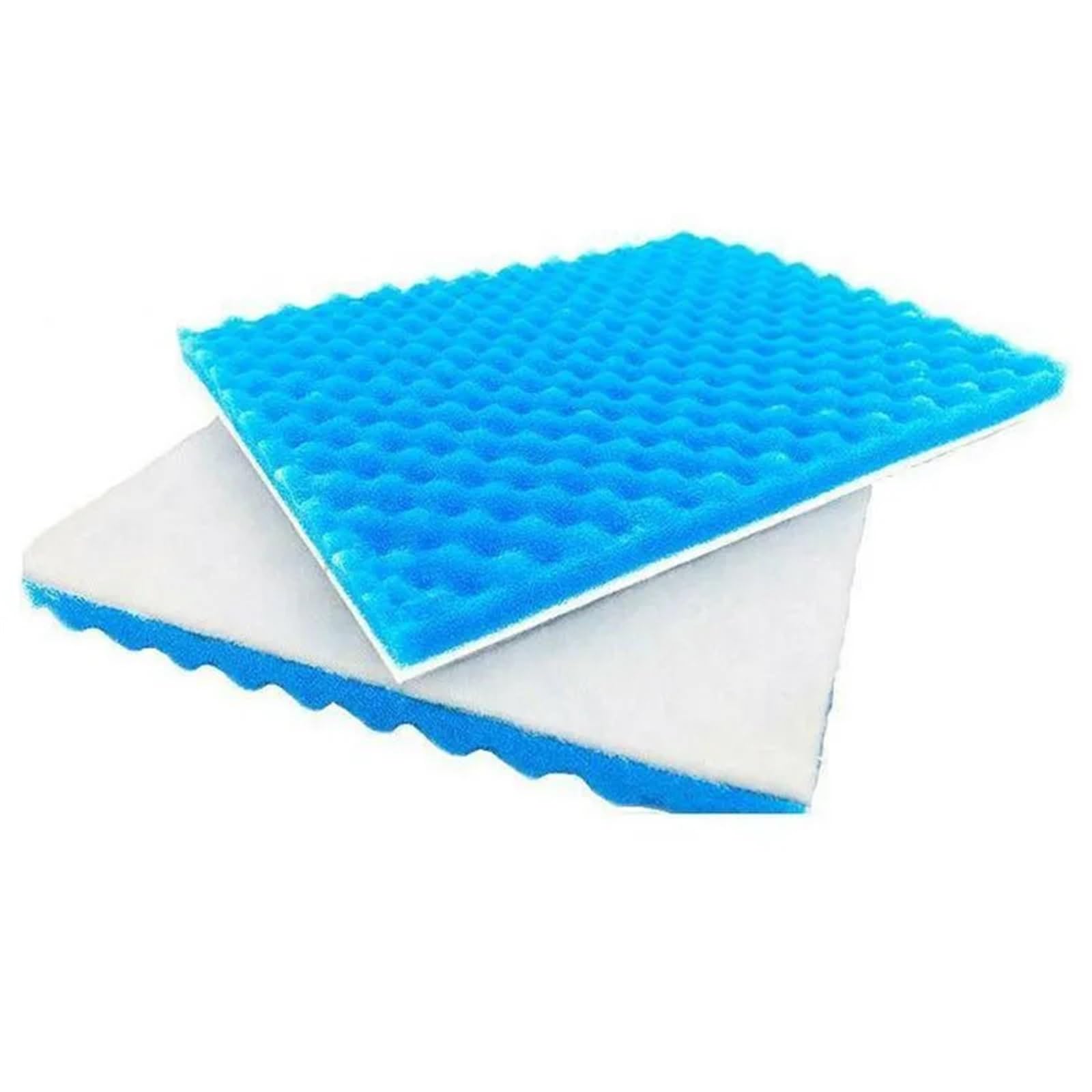 Tampone for Supporto filtrante in Spugna rium