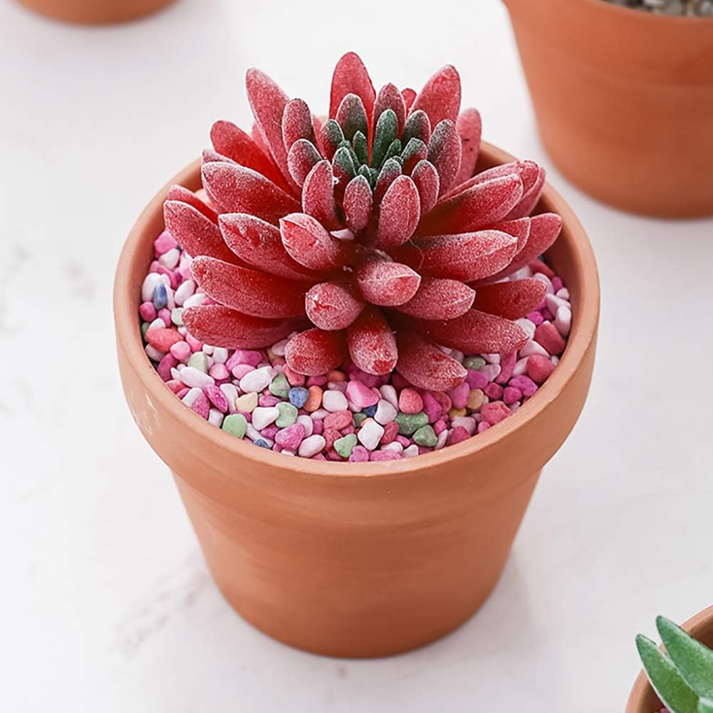 Briful 6 PCS Mini Terracotta Plant Pots 3.9"x3.9" Flower Pots Clay Pottery Planter with Saucer and Drainage Hole Cactus Succulent Nursery Pots- Great for Plants,Crafts