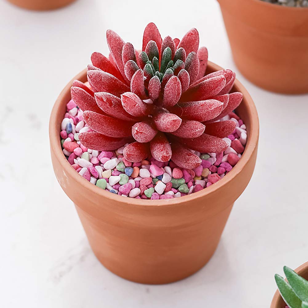 Soucoupes Pour Pots De Fleurs De 5 Pouces Lot De 3 Plateaux En Cramique Carrs Pour LIntrieur Et