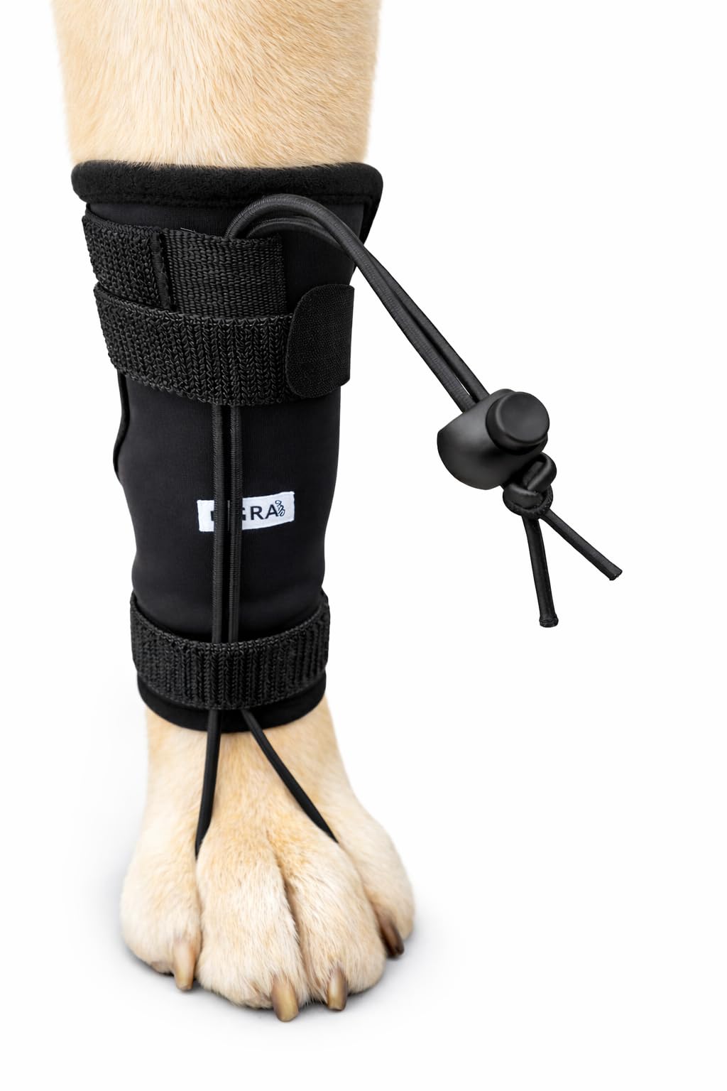 Labra Dog Canine Knuckling Corrector Toe Dragging Brace Wrap for Front or Rear Back Leg Paw