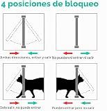 Ver la foto 4
