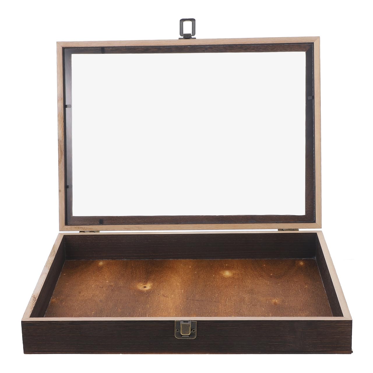 Boîte vitrine en verre vintage Cabilock, le cadeau idéal pour amoureux de nature et bijoux