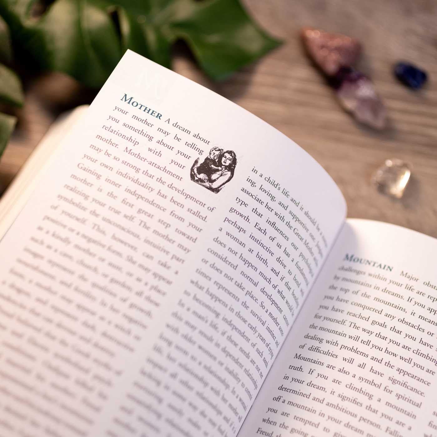 The Dream Dictionary (Mystic Encyclopedias) - Image 6