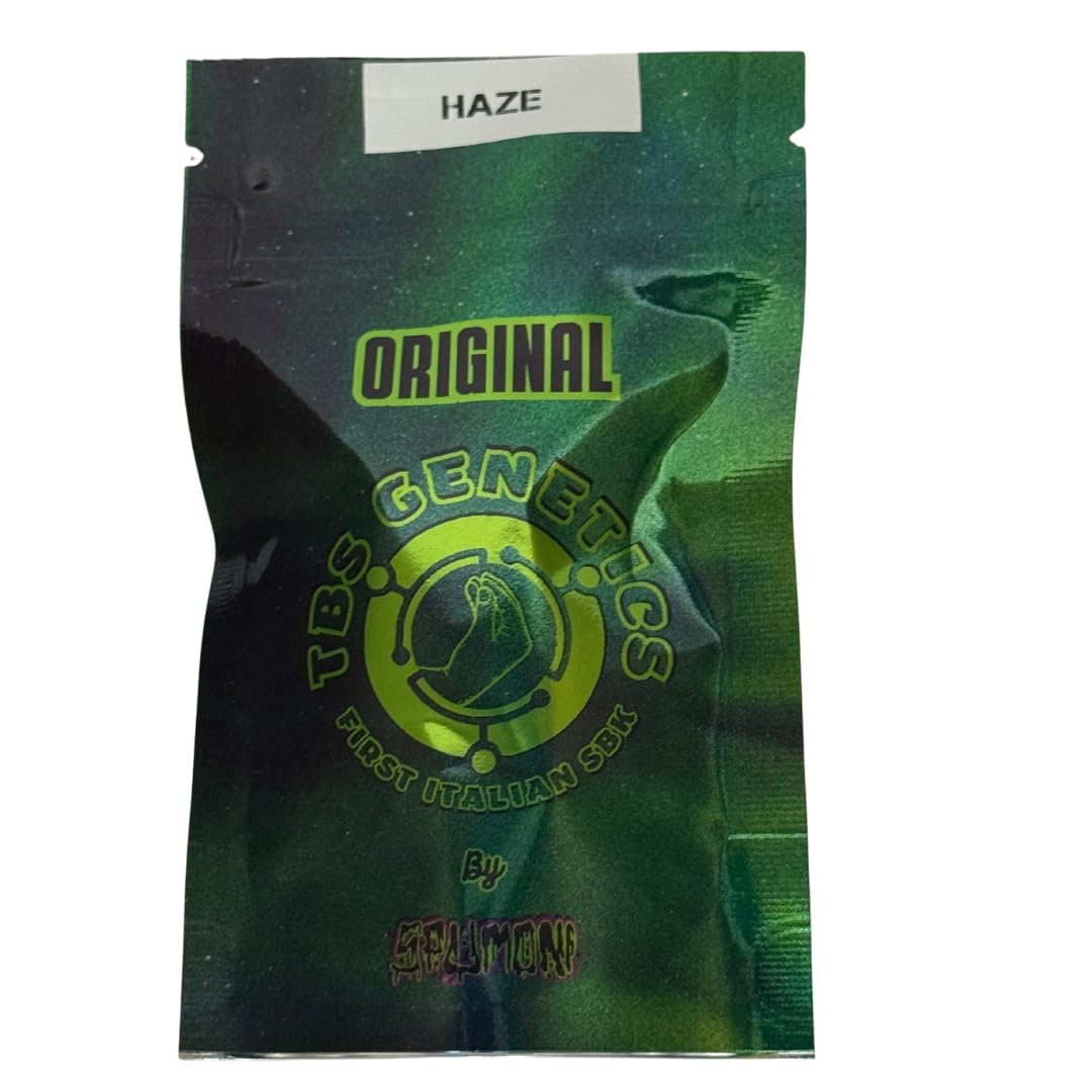 Planx Genetics HAZE Lot de 3 graines pour collectionneurs