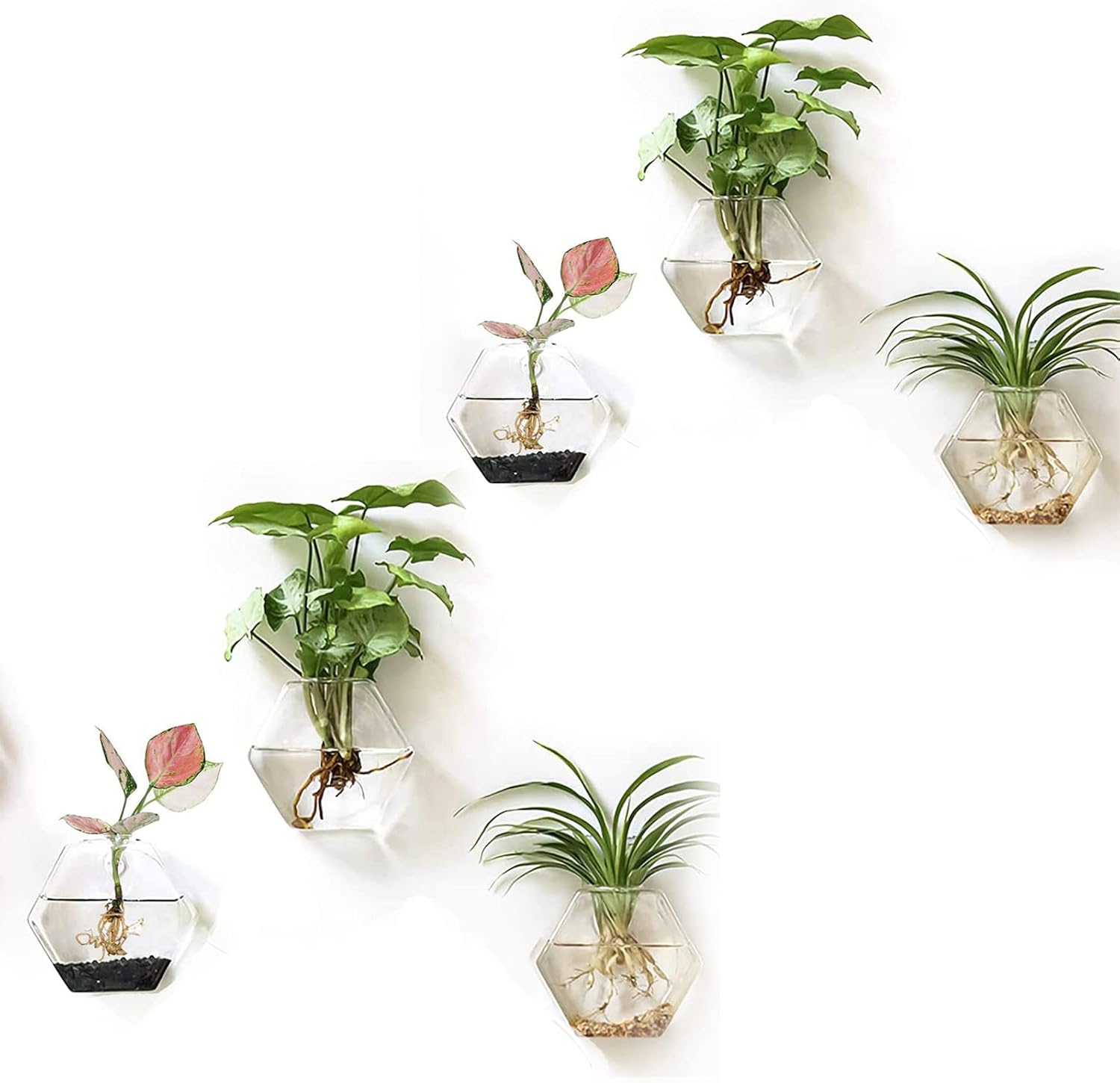 Kingbuy Wall Vase 3 Pack Large Wall Terrarium and 3 Pack Medium Wall Glass Planter for Propagating Hydroponics Water Plants Home Office Decor