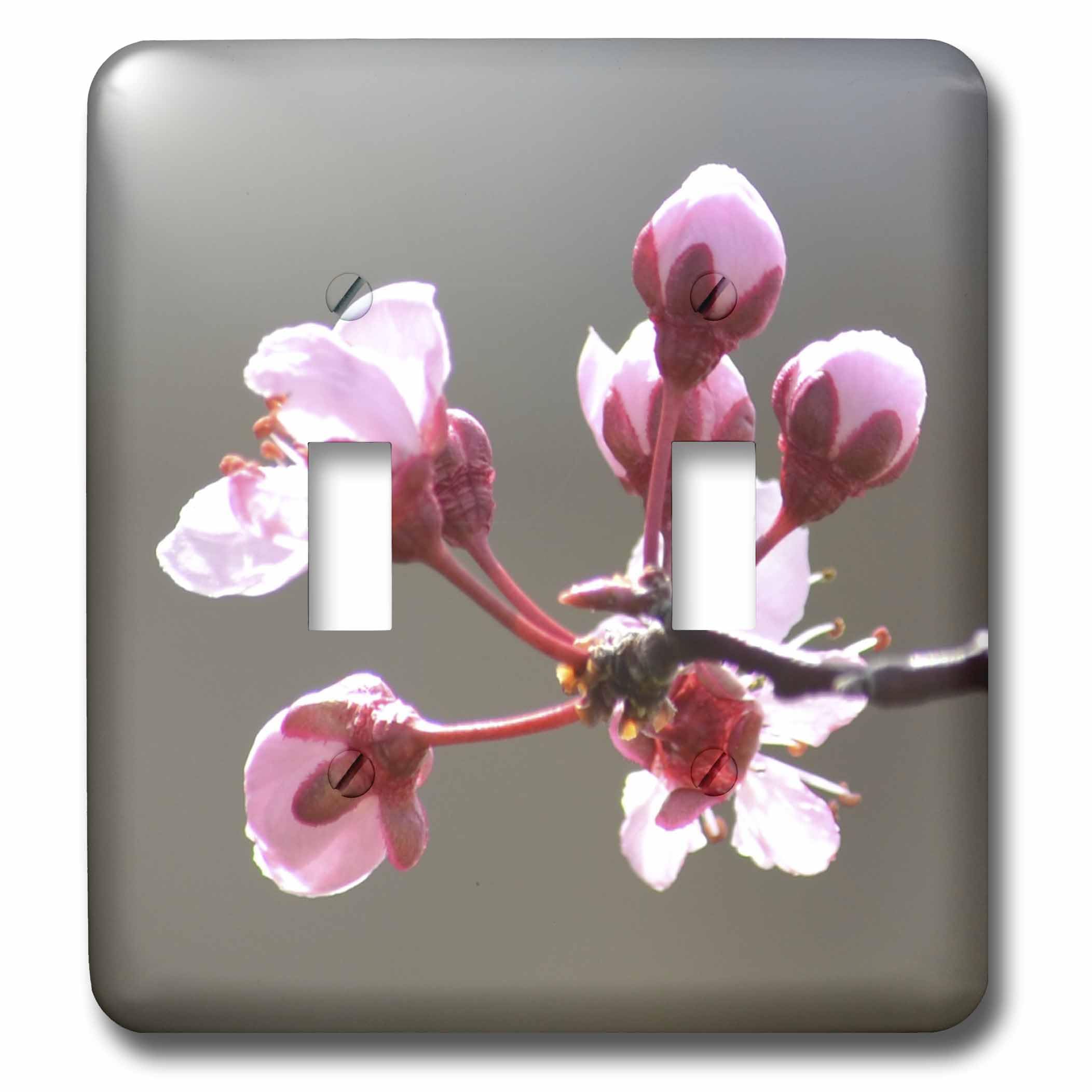 Double interrupteur fleurs cerisier rose remplace plaques ternes