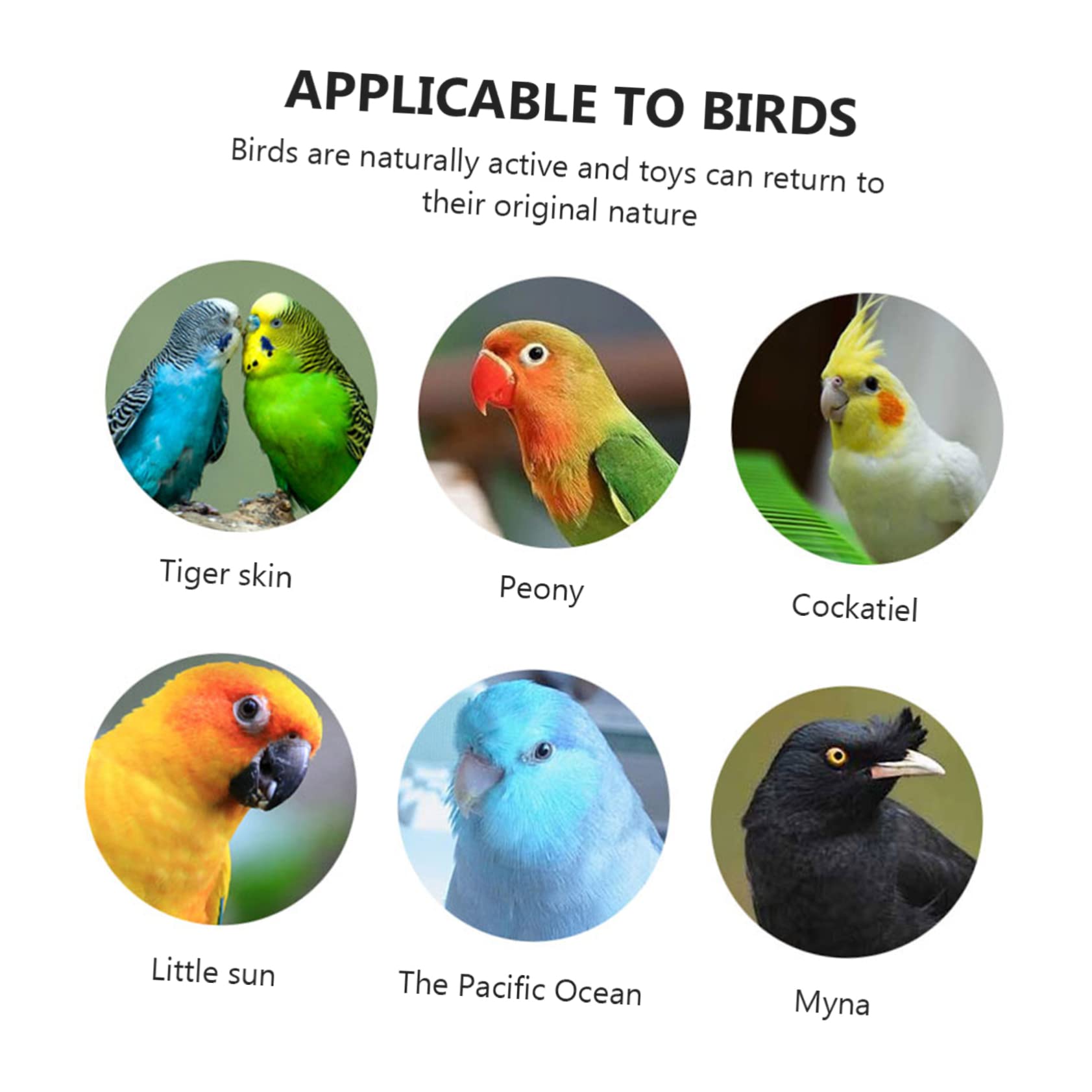 Abaodam 3Pcs Parrot Stand Base Bird Cage Accessories with Half Platform Stand Board and Perch for Parakeets and Cockatiels