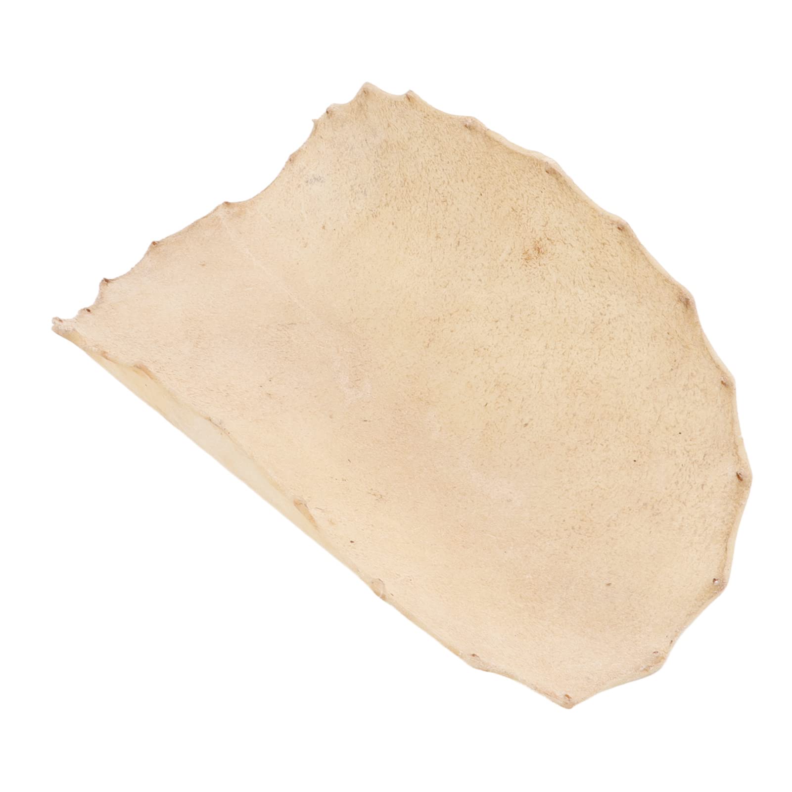 Tête de Tambour en Peau de Chèvre, Cabeza de Tambor de Piel de Cabra Djembe Piezas de Repuesto Accesorios 320mm