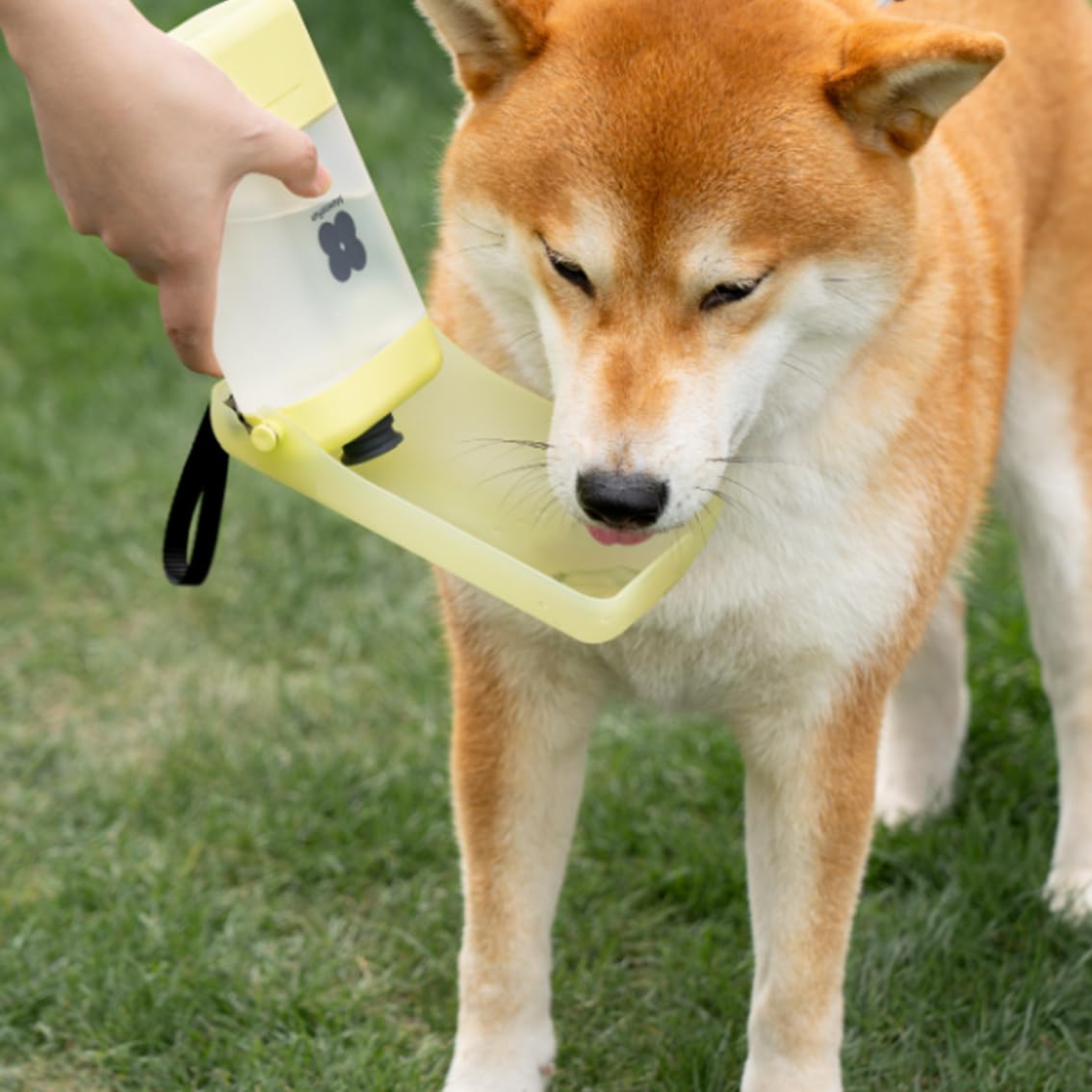 Amazon | 犬用 水飲み器 給水ペットボトル 散歩グッズ 給水器 水筒 食