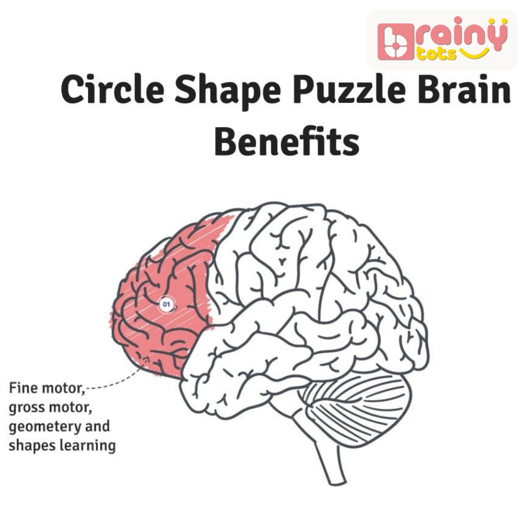Brainytots Circle Shape Puzzle with Mirror for Babies | Montessori Wooden Toys for Kids with Soft Baby Mirror | Shape Recognition, Self Discovery, Problem Solving and Fine Motor Skill Development 3