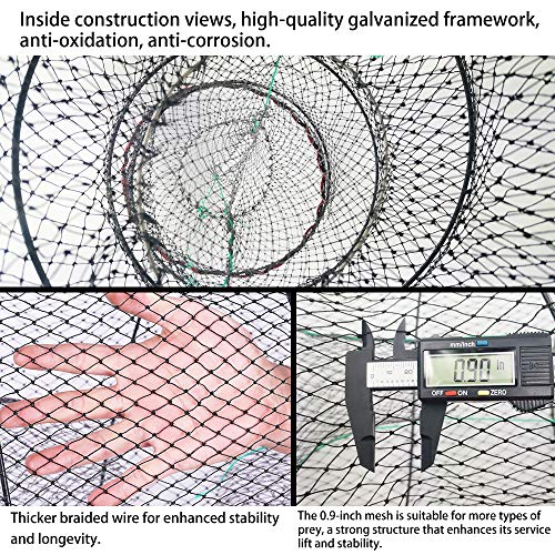 EASY BIG Portable Collapsible Crab Traps Foldable Crabbing Nets (Dia:11.8inches(30cm) Height:23.6inches(60cm))