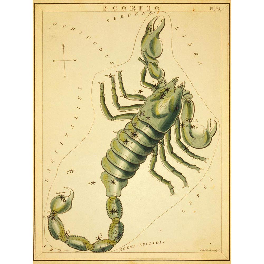Wee Blue Coo Paintings Drawing Star Map Scorpio Scorpion Constellation Art Print Poster Wall Decor 12X16 Inch