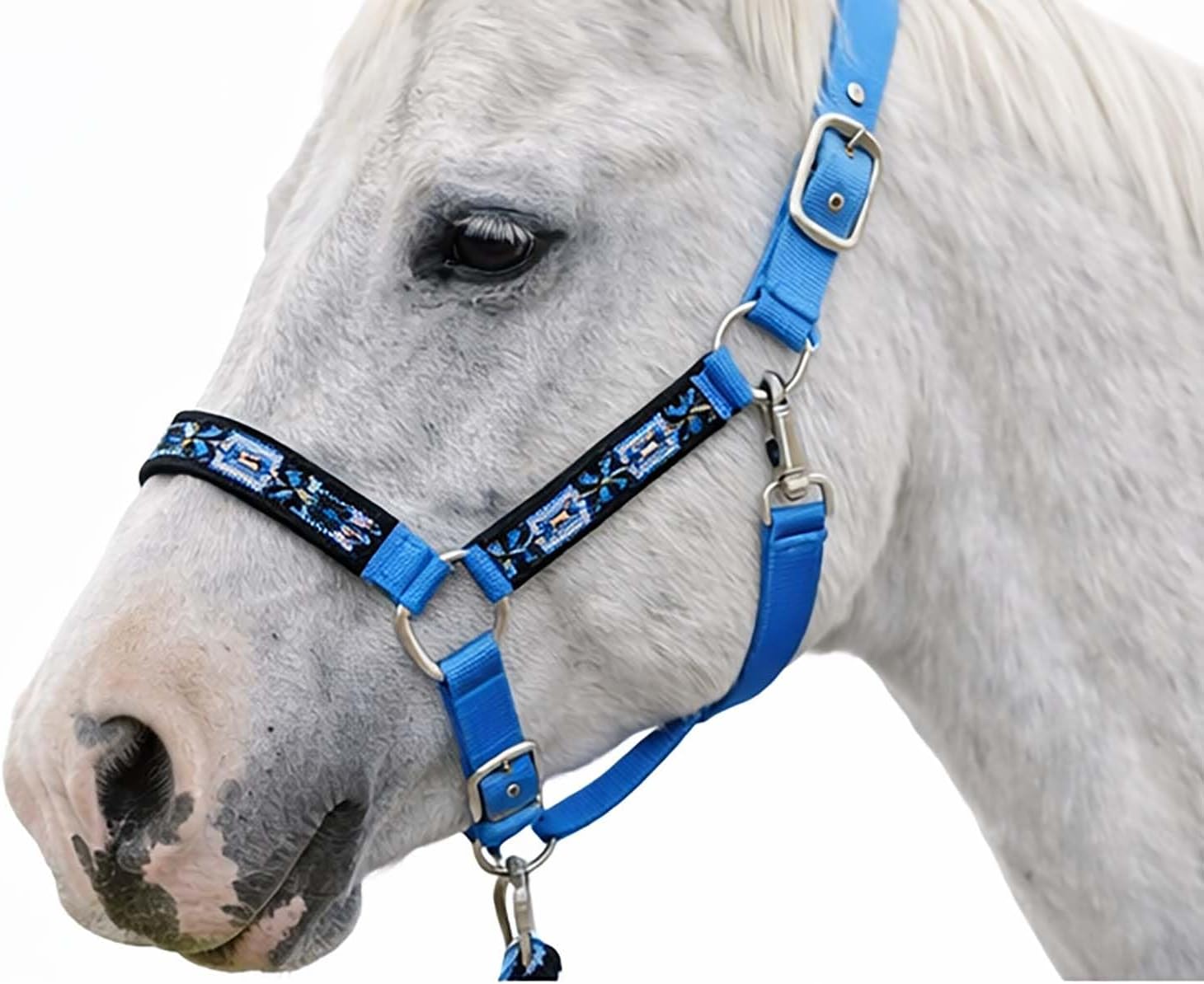 CHALLENGER Nylon Horse Beaded Halter Nickle Plated Hardware w/Lead Rope Tack Blue 606175SB