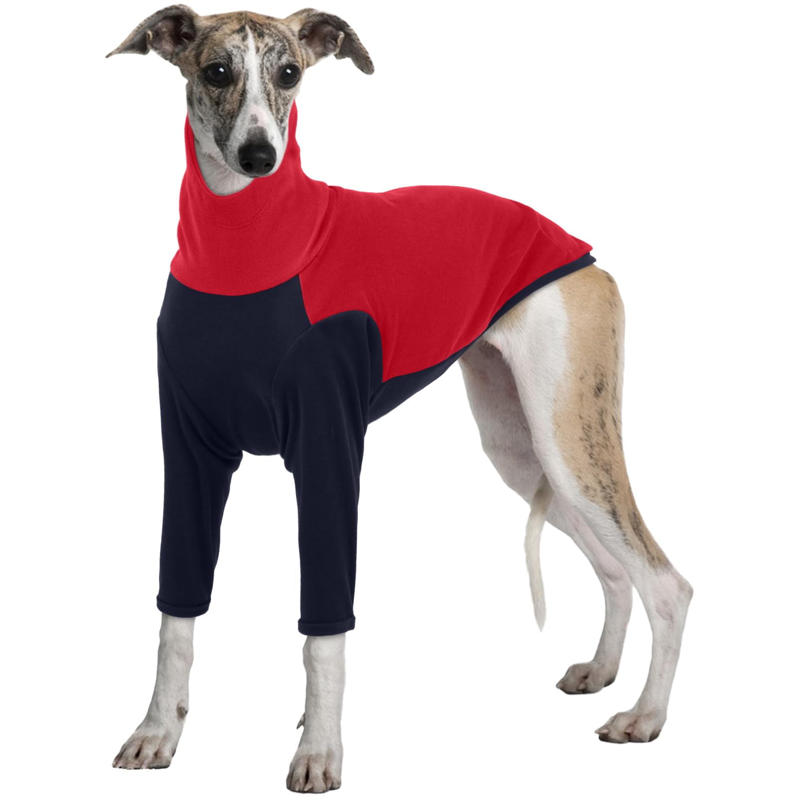 Greyhound Winter Coat