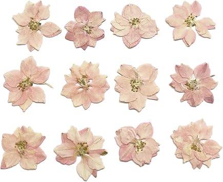 YUNZHI DIY Craft Delphinium Dried Pressed Flowers for Scrapbooking DIY Candle Decoration Resin Accessories Jewelry Crafts Decor Making 12pcs/Pack Natural Light Pink