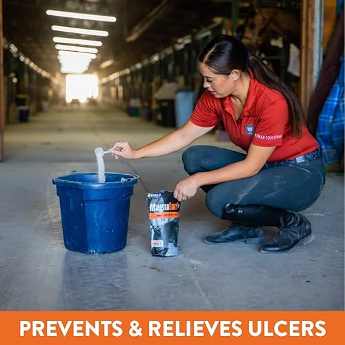 Miniatura 2 de MagnaGard Suplemento de apoyo gástrico para caballos con Omega 3  Alivia úlceras, suplemento calmante, magnesio y otros minerales vitales  polvo,