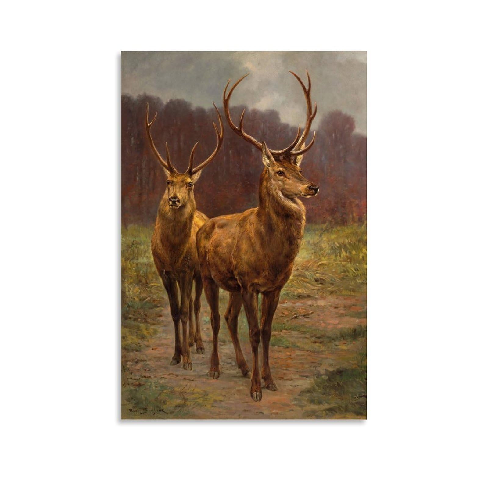 Décoration murale cerf Rosa Bonheur affiche faune sauvage 50x75cm - 8