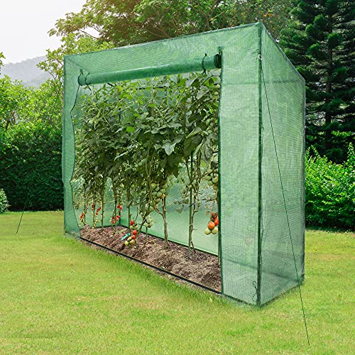 ECD Germany Invernadero de Jardín con Lámina de Malla y Puerta para el Cultivo de Tomates 200x79x168cm Verde Translúcido Techo Inclinado Marco Frío para Crecicimiento Óptimo de Las Verduras y Plantas