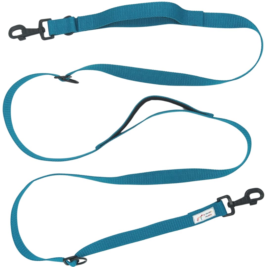 EGV - Correa multiposicion perro con doble asa de neopreno. Correa perro manos libres para usar como correa perro para correr - Correa perro larga de 2,50 metros de longitud. (Verde Agua)