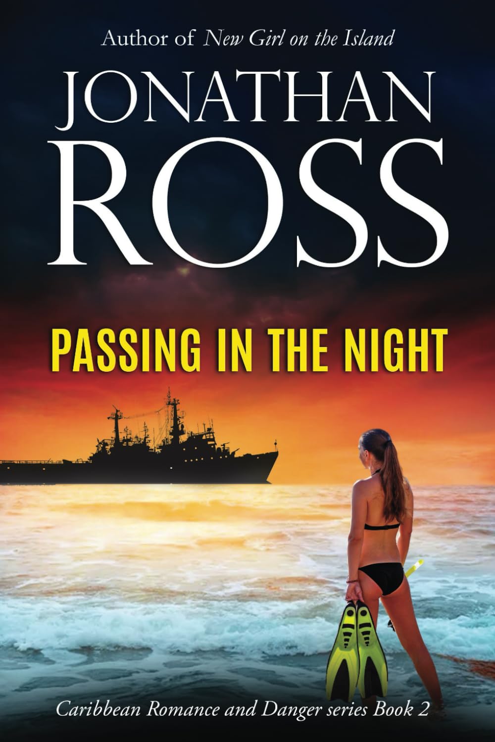 Passing in the Night: Caribbean Love and Danger - Book Two (Caribbean Romance and Danger)