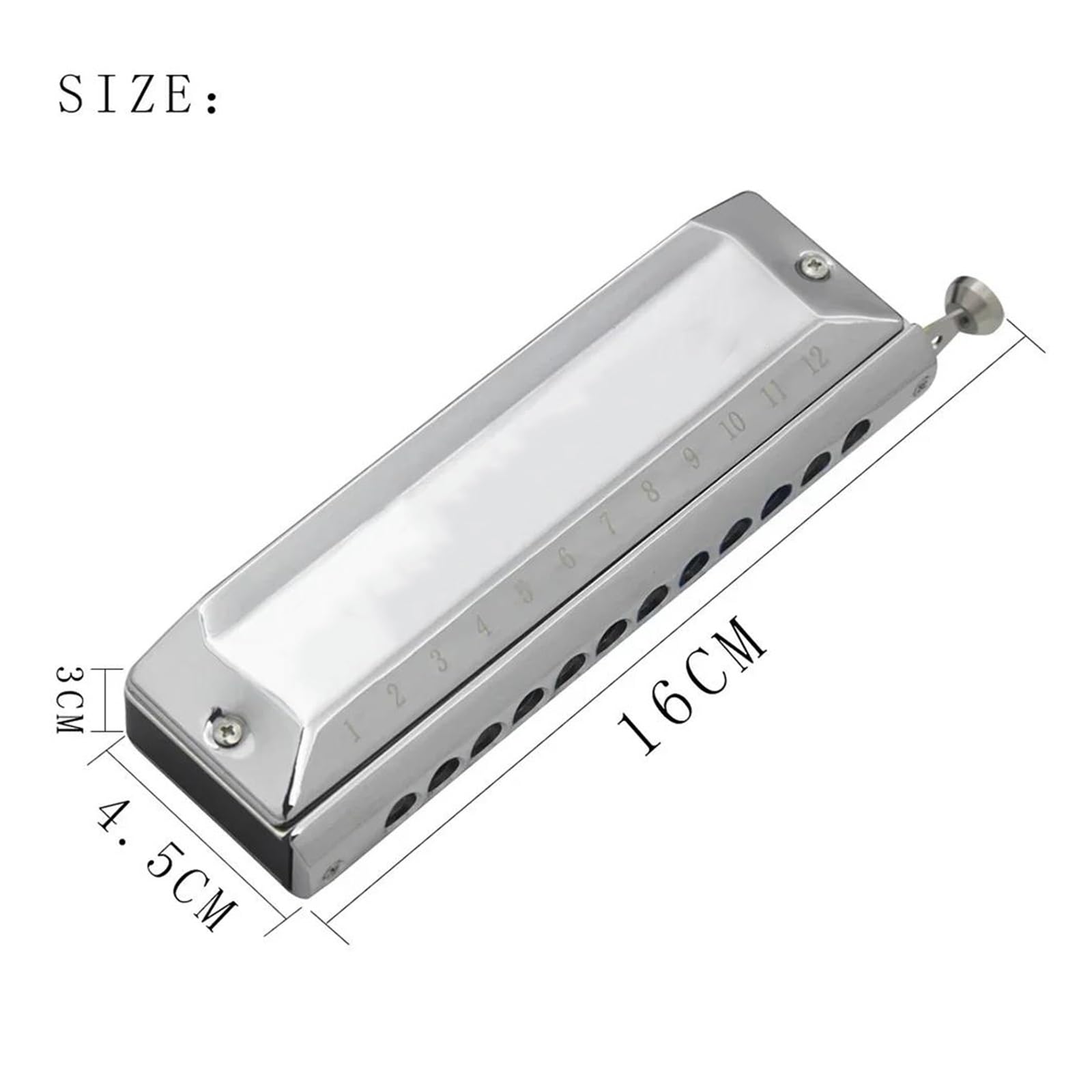 Armonica Strumento A Fiato Professionale Con Armonica A 12 Fori E 48 Note Scala Cromatica