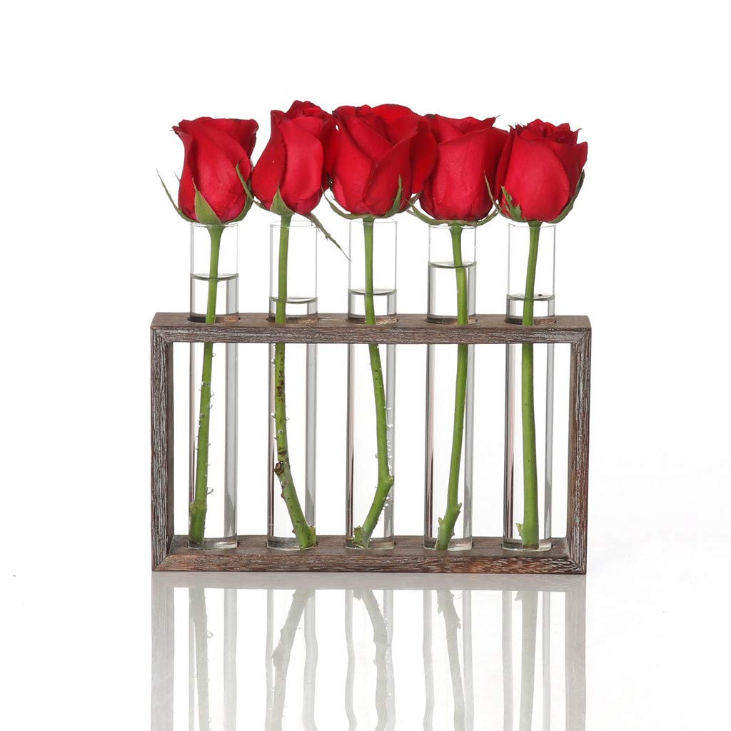 Test Tube Flower Vase Rack Decor For You
