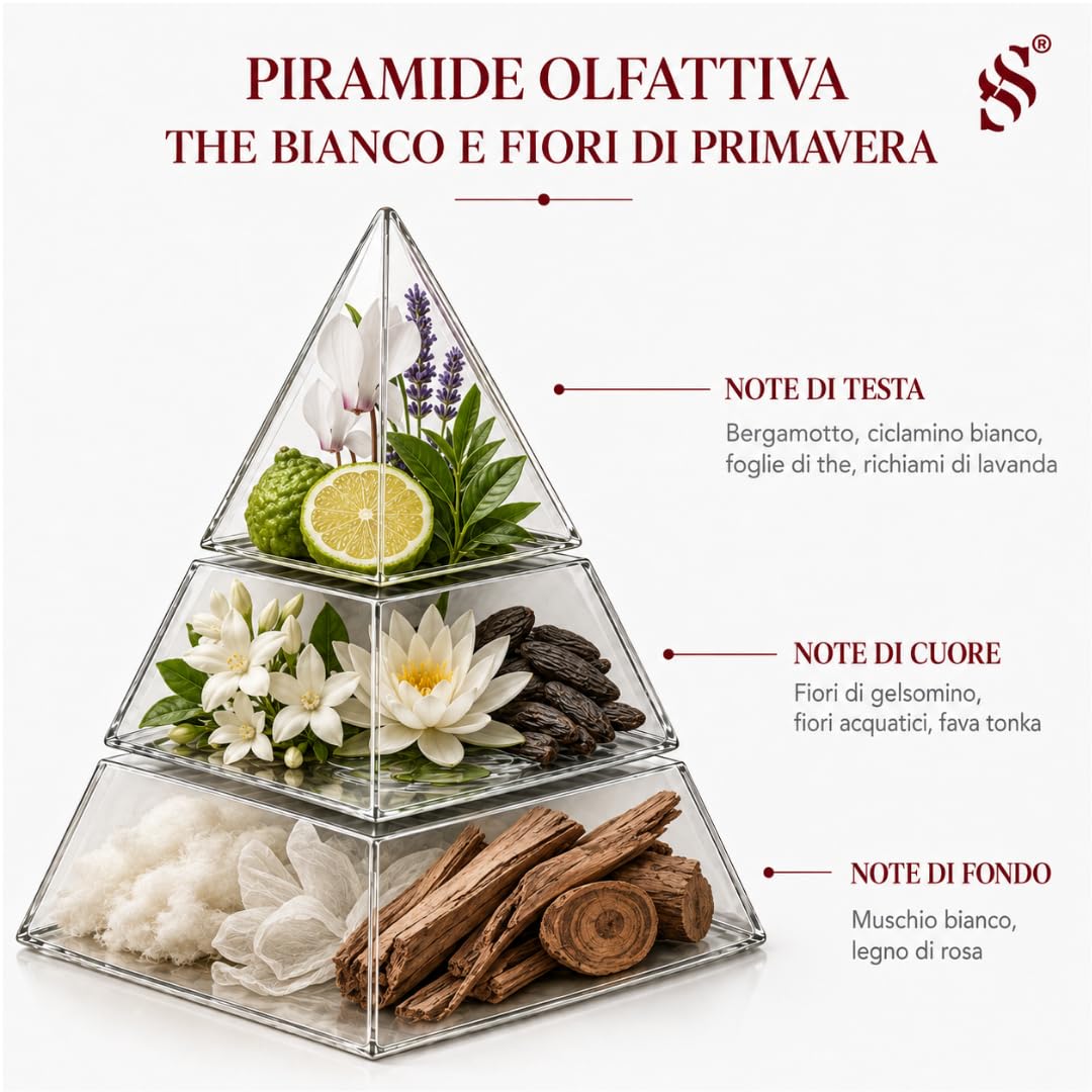 SCENTECA Diffusore elettrico di oli essenziali Mod. AD-P3, con fragranza Tè Bianco e Fiori di Primavera inclusa, nebulizzazione a freddo, copertura fino a 100 mq, per casa e ufficio (100 ml)