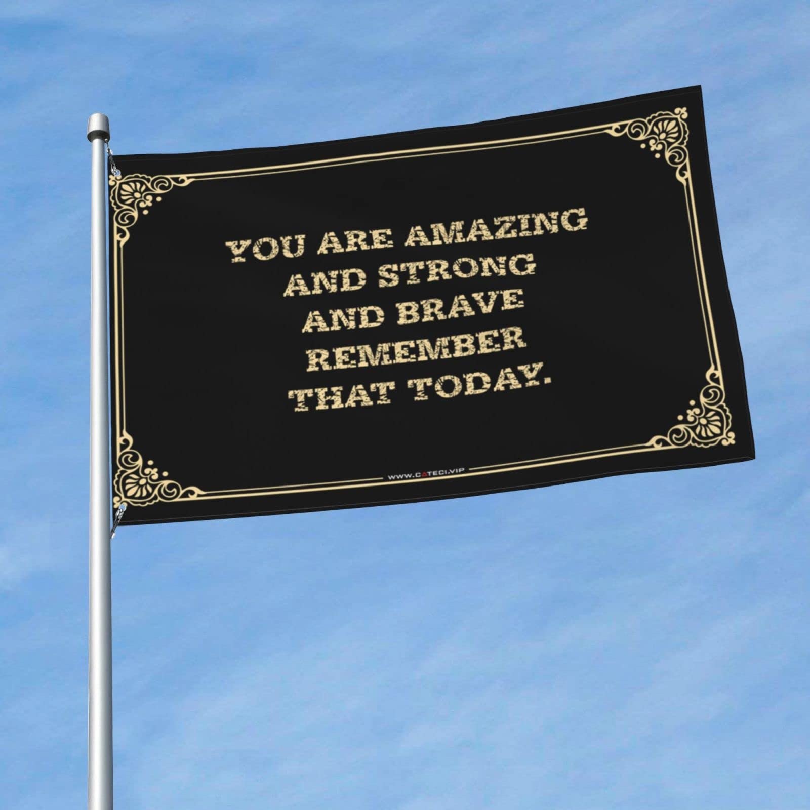 Drapeaux muraux drôles pour remplacer les posters déchirés