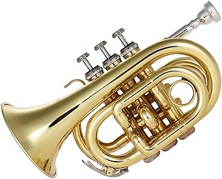 Student Brass Trumpet Mini Pocket Trumpet Bb Flat Brass Wind Instrument With Mouthpiece Gloves