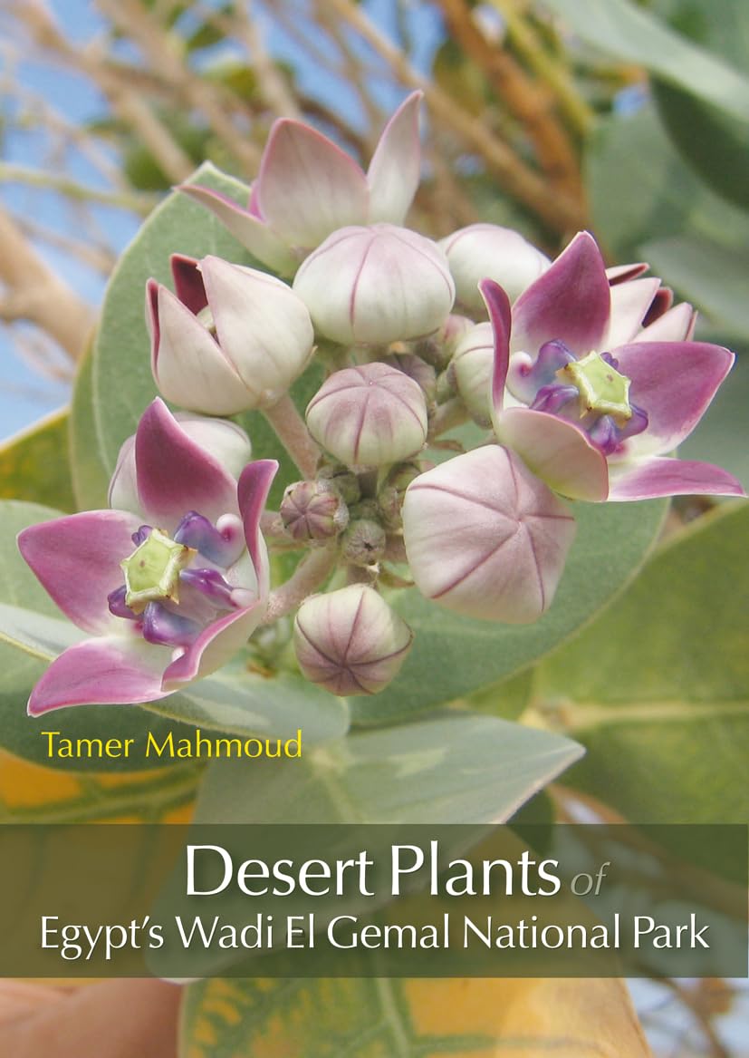 Desert Plants of Egypt’s Wadi El Gemal National Park Paperback – June 1, 2010