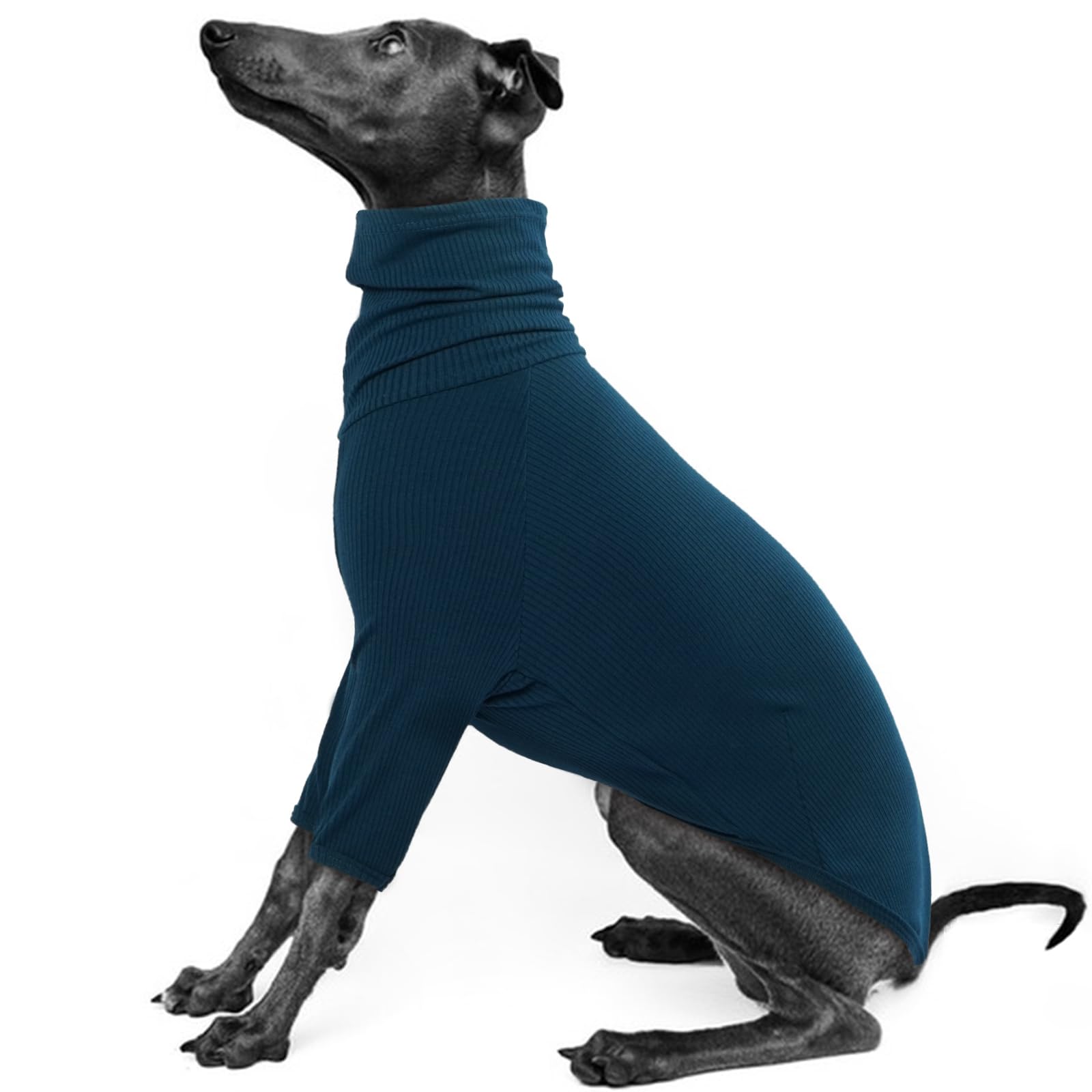 IECOii Greyhound Sweater, Cozy Italian Greyhound Jumpsuit, Pullover Dog Sweater for Small Dogs, Turtleneck Whippet Onesie Clothes for Spring Fall