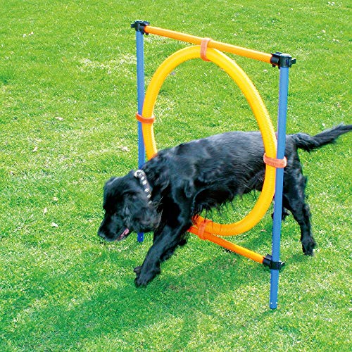 PAWISE Trainings-Trainingsgerät für Hunde im Freien, verstellbare Höhe, Springring Cover