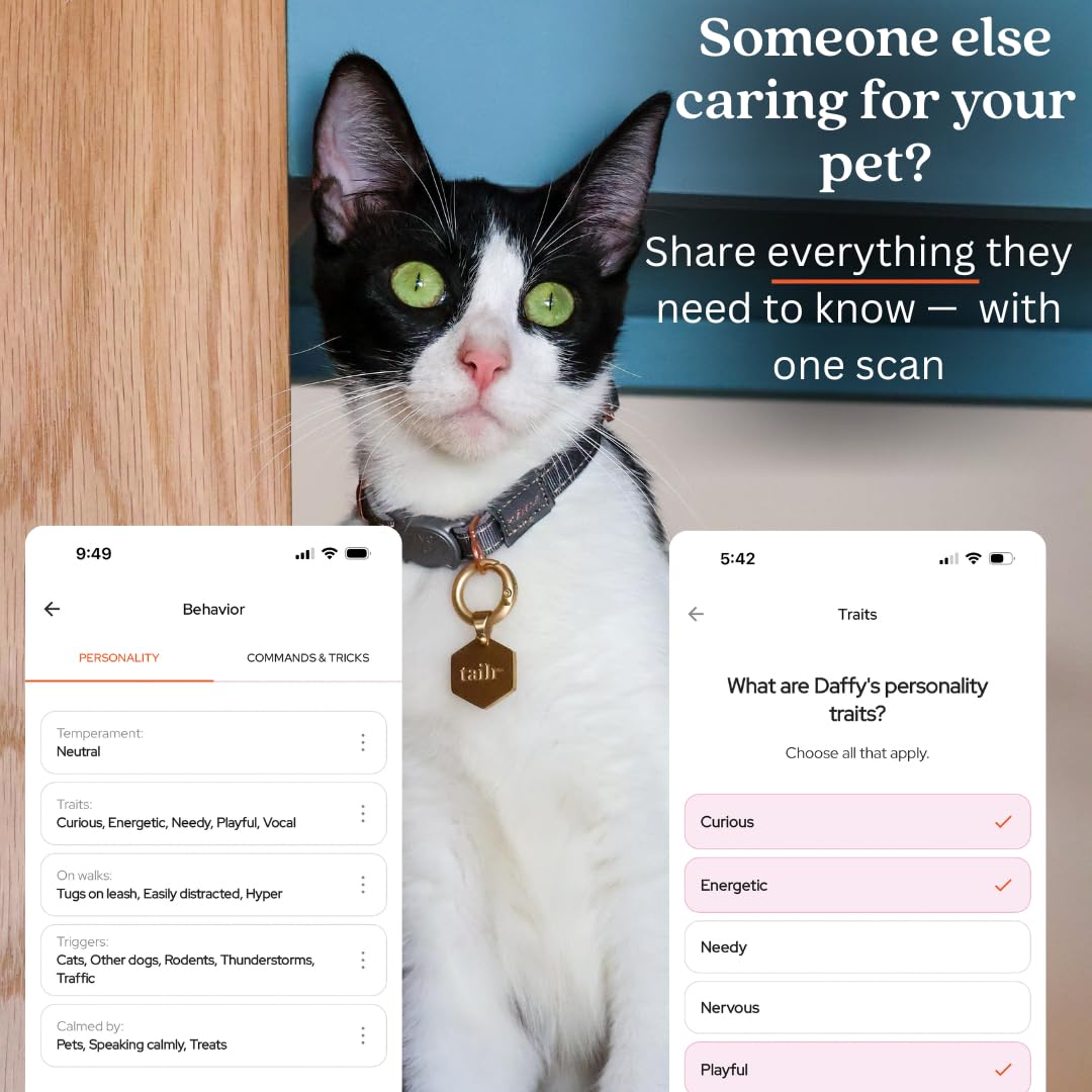 Medaglietta identificativa per animali domestici, con codice QR, medaglietta per cani di grandi dimensioni, etichetta per gatti, profilo personalizzato, include app gratuita per la gestione degli