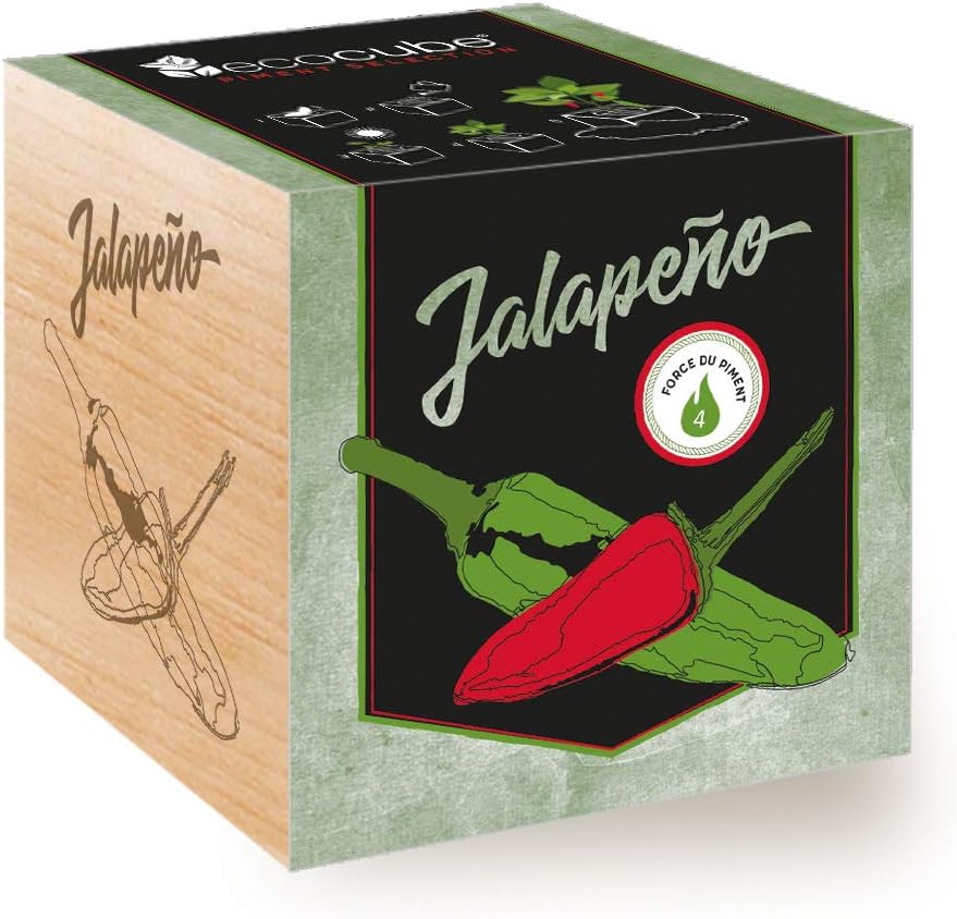 WEYE Ecocup, Lavande Certifiées Bio, Idée Cadeau (100% Ecologique), Grow Your Own Kit Prêt à