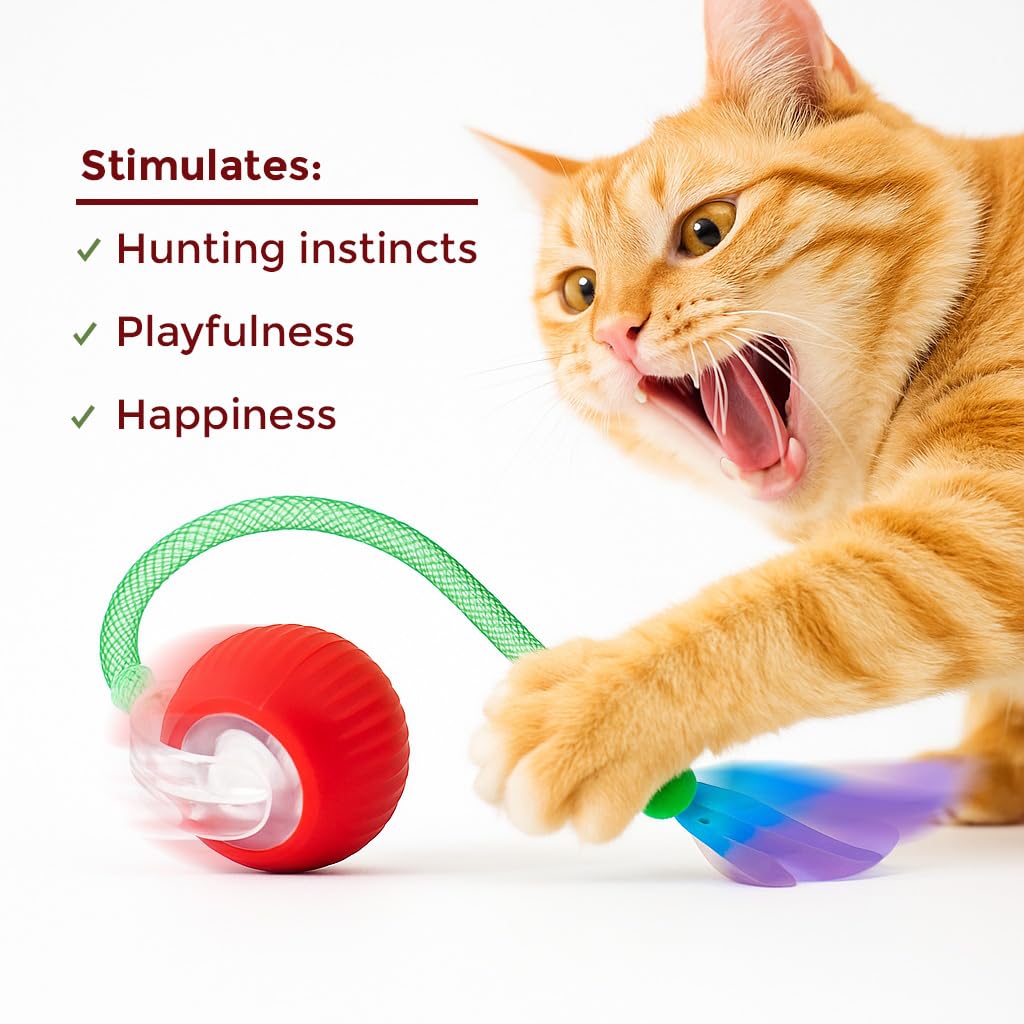 Jouets d'intérieur interactifs pour chat – Balle automatique pour chaton, chats adultes ennuyés et chiens – Jeu de poursuite automatisé – Balles à rouler automatiques intelligentes pour