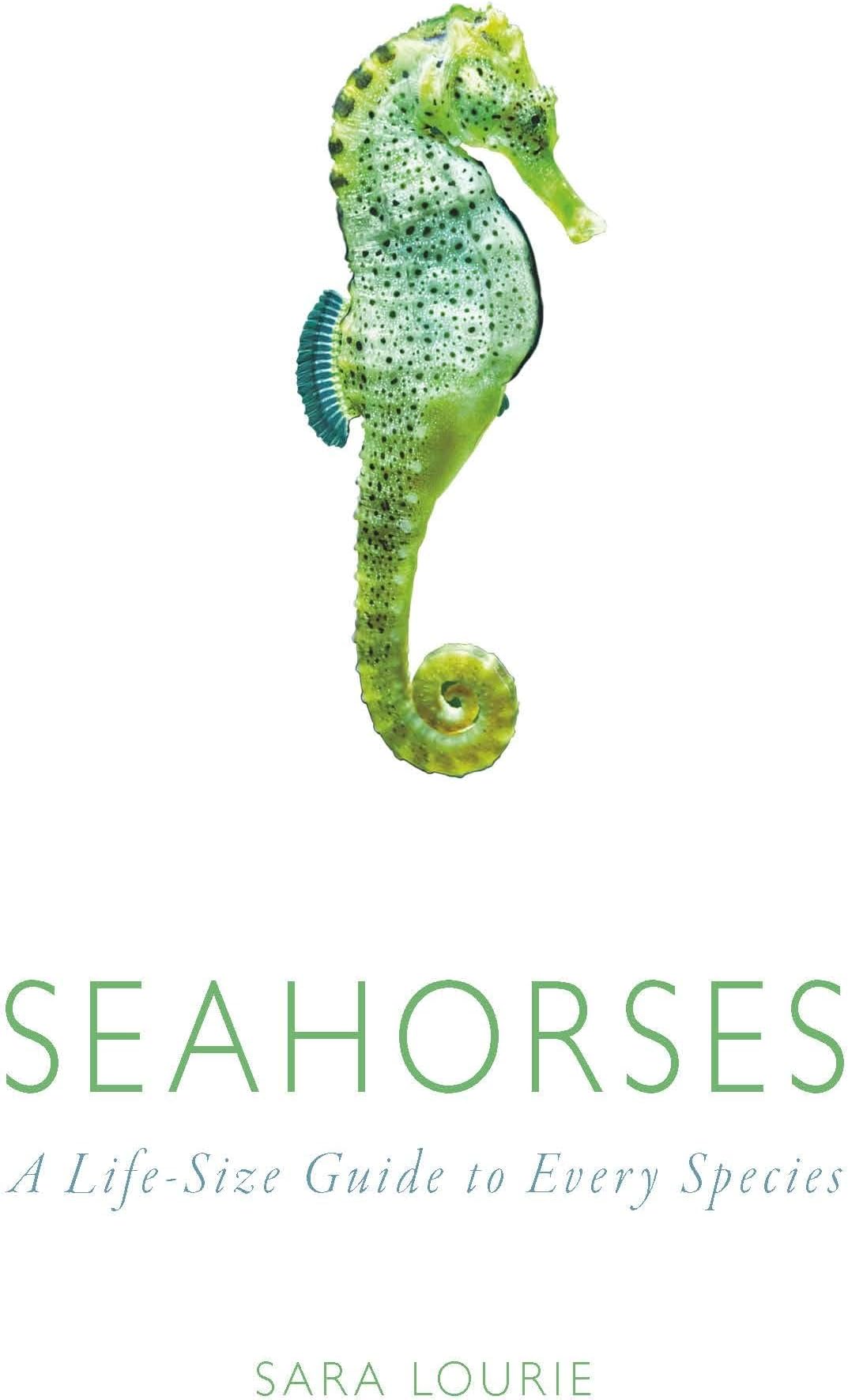 Seahorses: A Life-Size Guide to Every Species