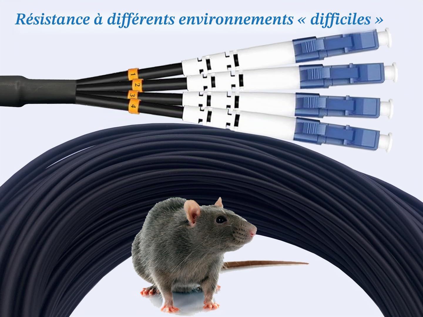 Elfcam® - 100m Câble Fibre 4 Fibres avec Connecteurs 2x Duplex LC/UPC vers 2x Duplex LC/UPC, Fibre Optique Monomode 9/125um OS2, 100 Mètres