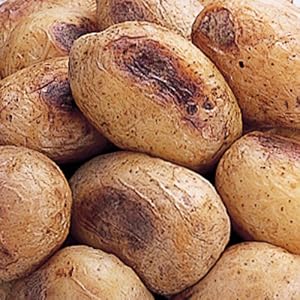 ホクレン ベークドポテトマチルダミニ 1kg【冷凍】